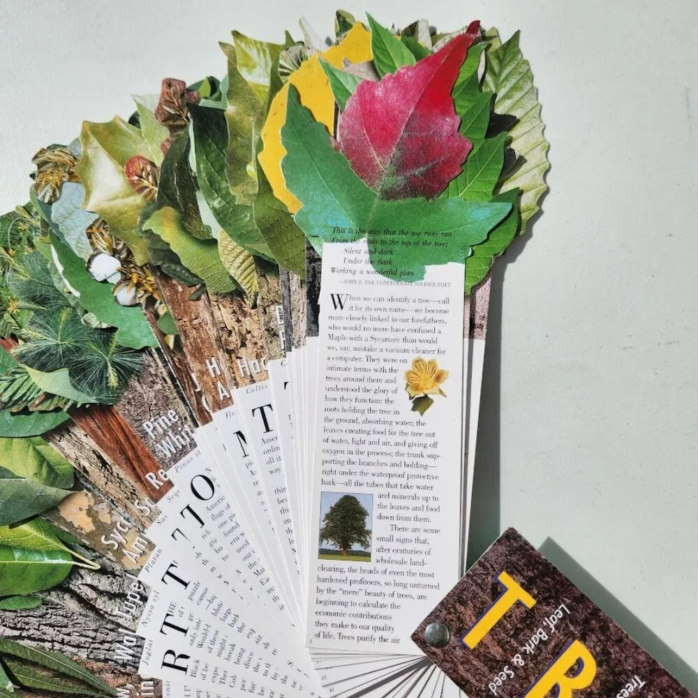 Trees North American Identification Pocket Field Guide Book Fandex Nature